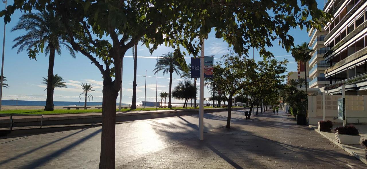 Apartament Ola Marina Solo Familias Playa de Gandia Zewnętrze zdjęcie