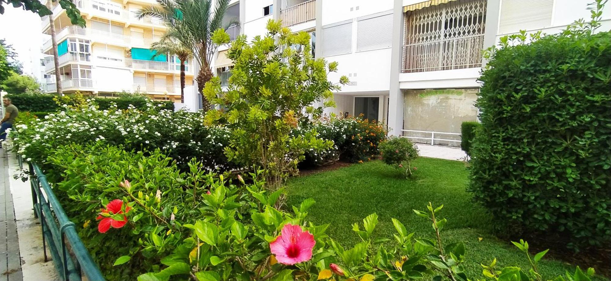 Apartament Ola Marina Solo Familias Playa de Gandia Zewnętrze zdjęcie